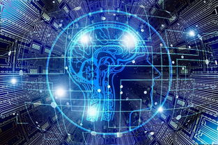 人工智能如何重塑基礎科學與基礎軟件開發