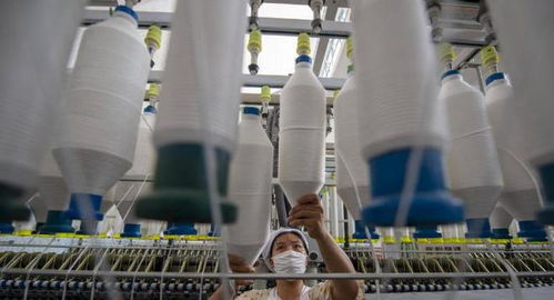 三重困境下的外貿工廠 接單、履約與收款之難，國內貿易轉型路在何方？
